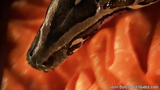 Looking Well-tutored Sexy Asia